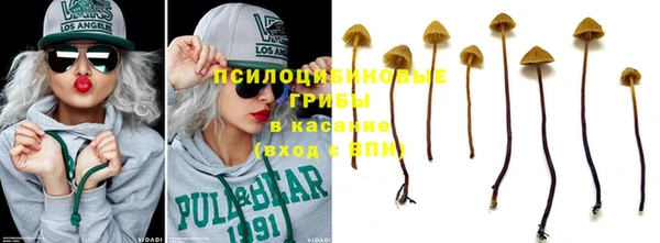 трава Беломорск