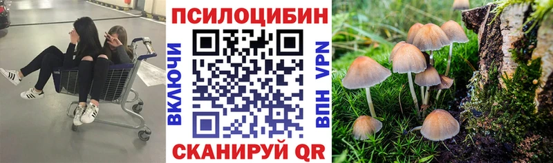Галлюциногенные грибы Psilocybe  Гатчина 